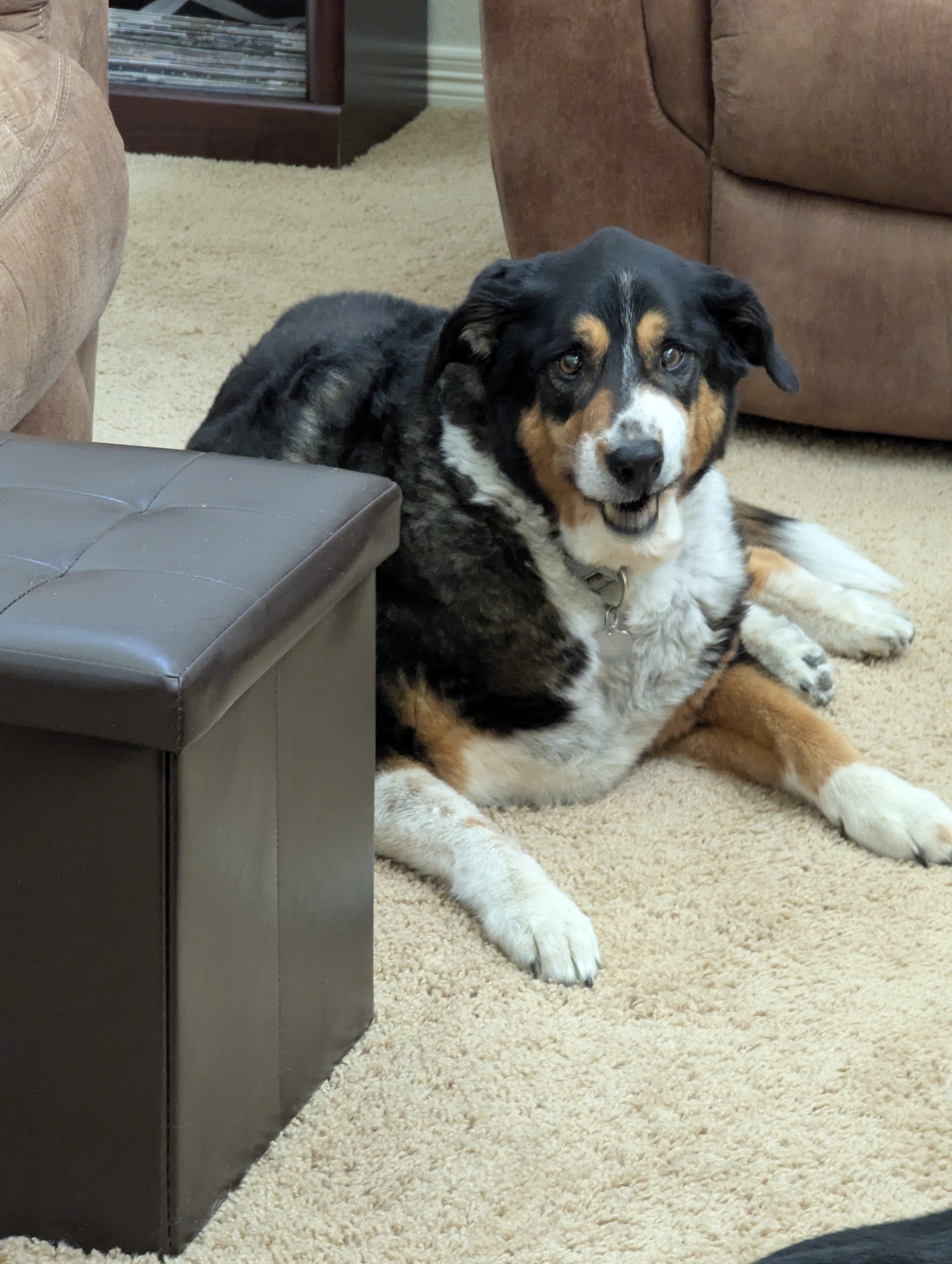 Father's Day, Colorado